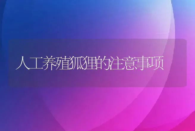 人工养殖狐狸的注意事项 | 特种养殖