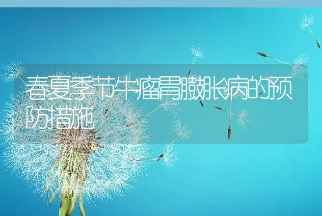 春夏季节牛瘤胃臌胀病的预防措施 | 动物养殖