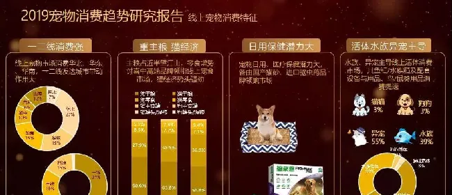 明年经销商怎么干？6大亮点破解转型升级密码！ | 宠物行业洞察