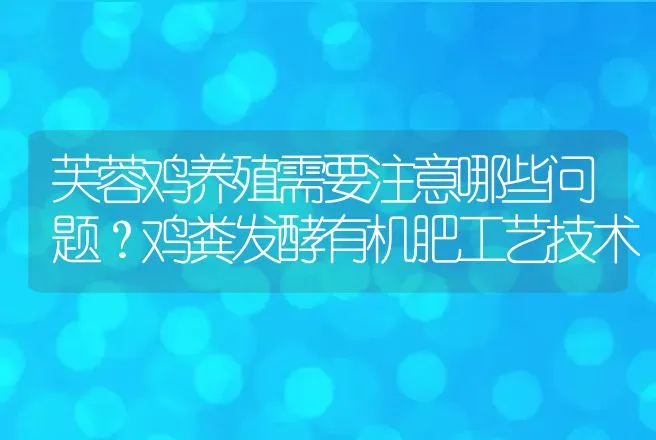 芙蓉鸡养殖需要注意哪些问题？鸡粪发酵有机肥工艺技术 | 家禽养殖