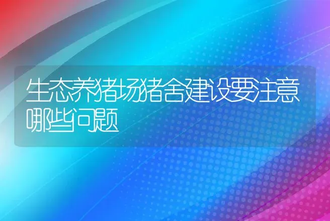 生态养猪场猪舍建设要注意哪些问题 | 家畜养殖