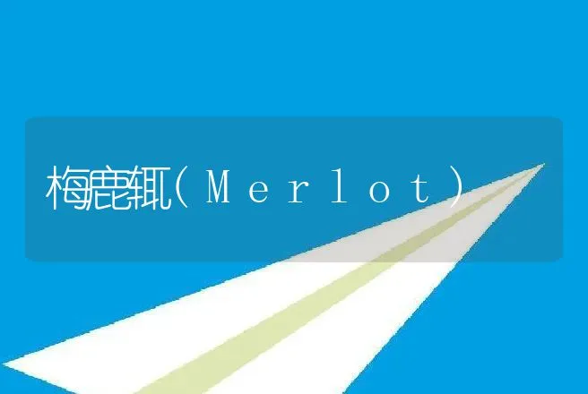 梅鹿辄(Merlot) | 动物养殖