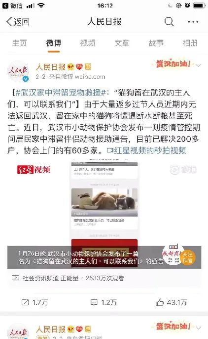 致宠物医院的一封信:不捐钱，捐点力 | 宠物新闻资讯