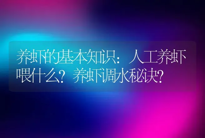 养虾的基本知识：人工养虾喂什么？养虾调水秘诀？ | 水产知识