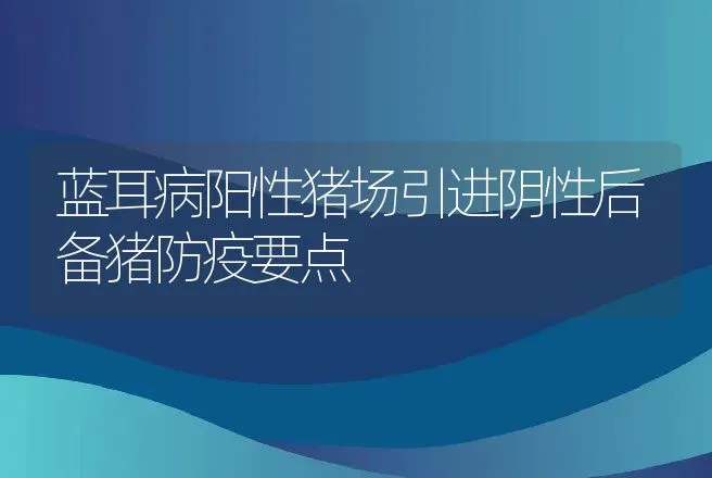 蓝耳病阳性猪场引进阴性后备猪防疫要点 | 动物养殖