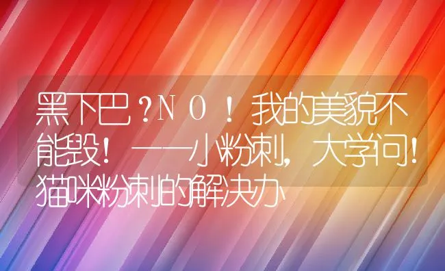 黑下巴？NO！我的美貌不能毁！——小粉刺，大学问！猫咪粉刺的解决办 | 宠物猫