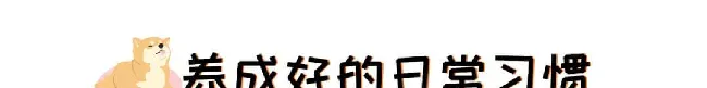 训了100遍的定点上厕所，宠物们到底还能不能学会？ | 宠物狗训练技巧