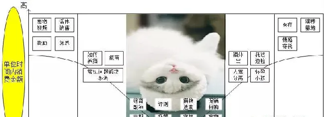 猫经济——做人的生意，还是做猫的生意？ | 宠物行业洞察