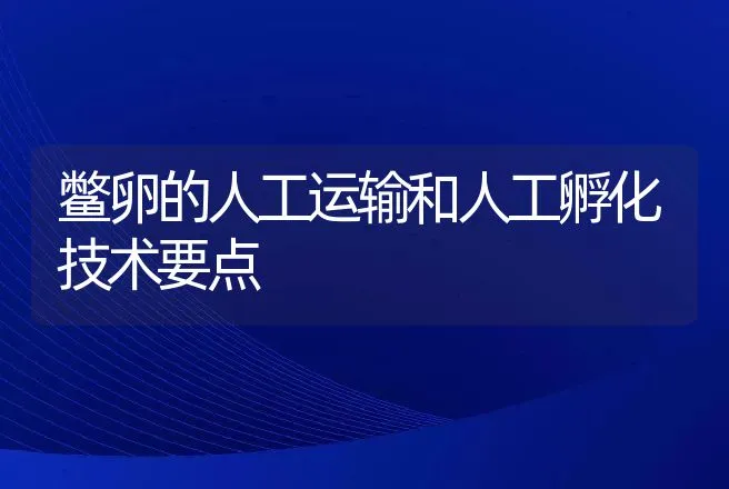 鳖卵的人工运输和人工孵化技术要点 | 动物养殖