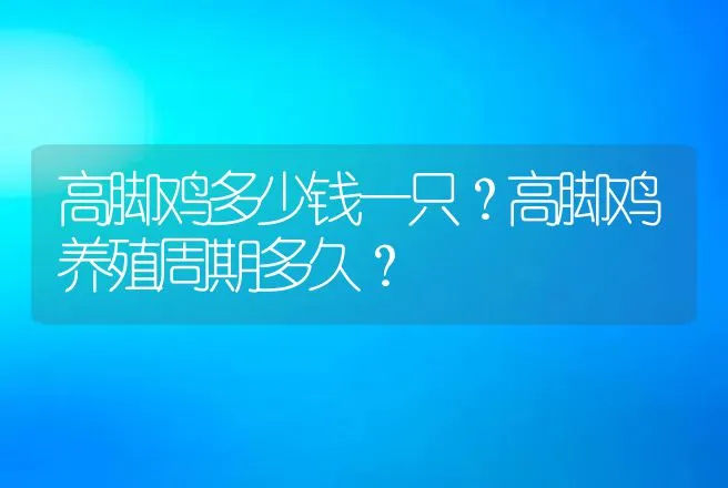 高脚鸡多少钱一只？高脚鸡养殖周期多久？ | 家禽养殖