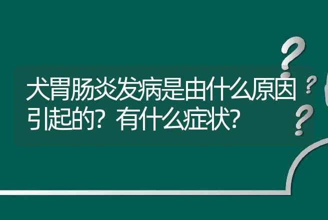 犬胃肠炎发病是由什么原因引起的？有什么症状？ | 兽医知识大全