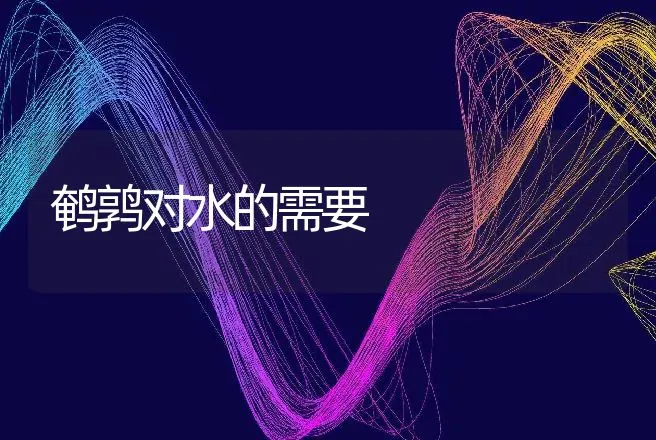 鹌鹑对水的需要 | 动物养殖