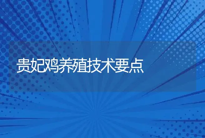 贵妃鸡养殖技术要点 | 家禽养殖