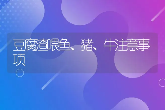 豆腐渣喂鱼、猪、牛注意事项 | 动物养殖