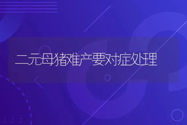 二元母猪难产要对症处理 | 动物养殖