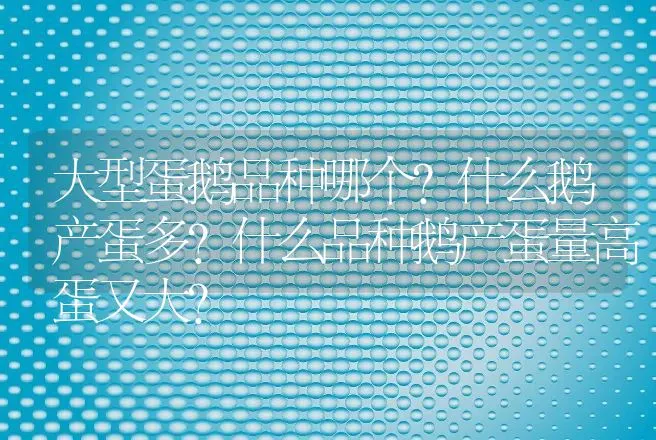 大型蛋鹅品种哪个？什么鹅产蛋多？什么品种鹅产蛋量高蛋又大？ | 动物养殖