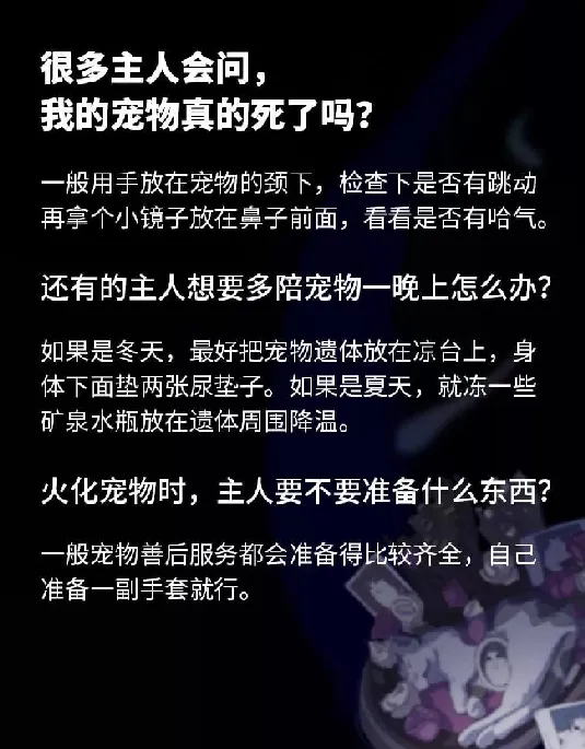 这座城市每天1000只宠物离世，我最多能服务7只 | 宠物行业洞察