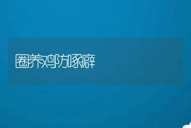 圈养鸡防啄癖 | 动物养殖