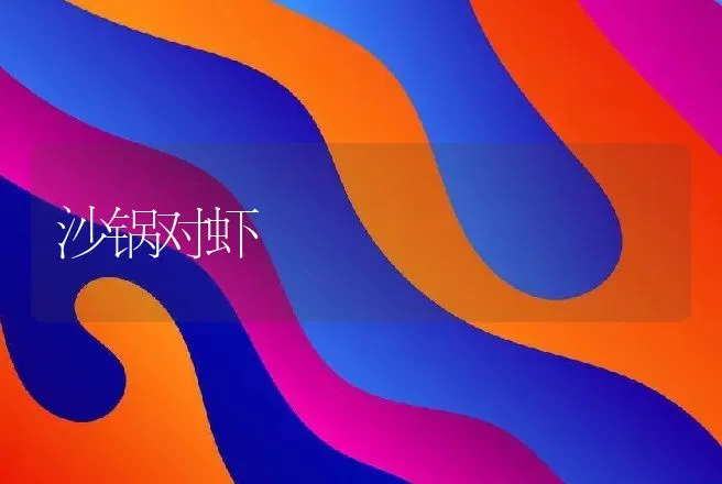 沙锅对虾 | 动物养殖