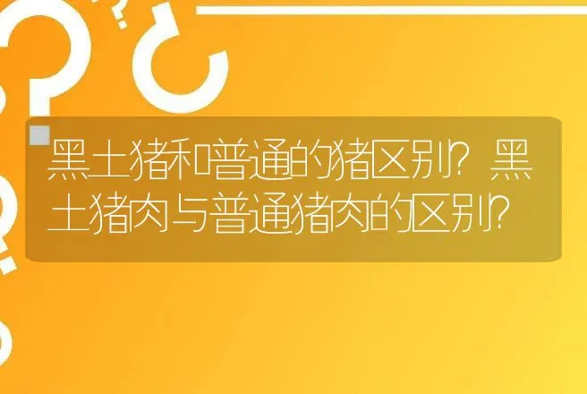 黑土猪和普通的猪区别？黑土猪肉与普通猪肉的区别？ | 家畜养殖