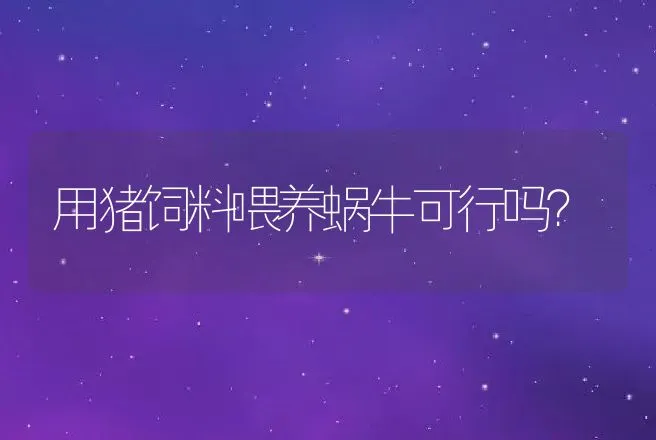 种猪利用年限有多少 | 动物养殖