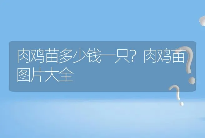 包涵体肝炎是什么?鸡包涵体肝炎图片 | 兽医知识大全