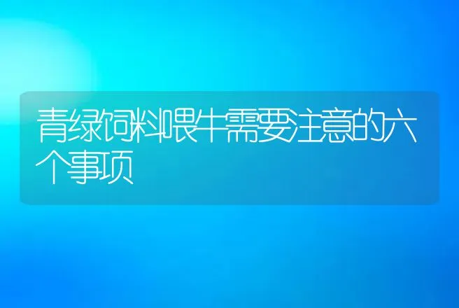 青绿饲料喂牛需要注意的六个事项 | 家畜养殖