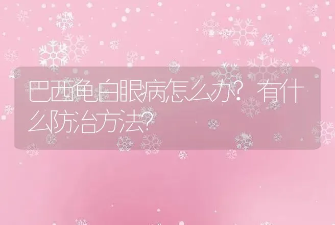 巴西龟白眼病怎么办?有什么防治方法？ | 兽医知识大全