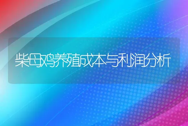 柴母鸡养殖成本与利润分析 | 家禽养殖