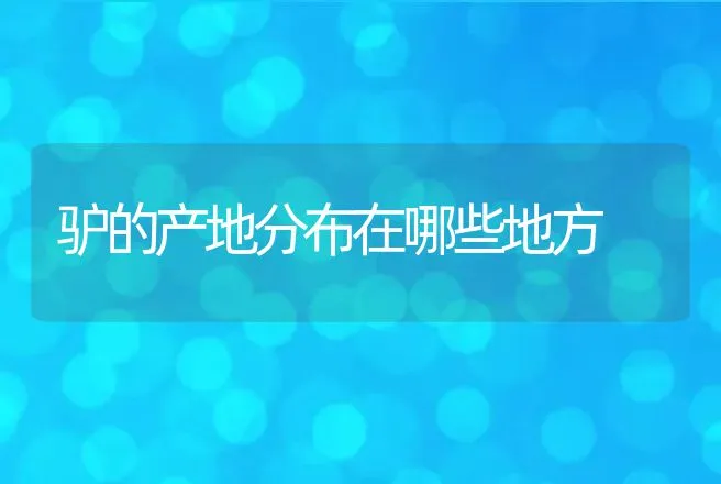 驴的产地分布在哪些地方 | 动物养殖