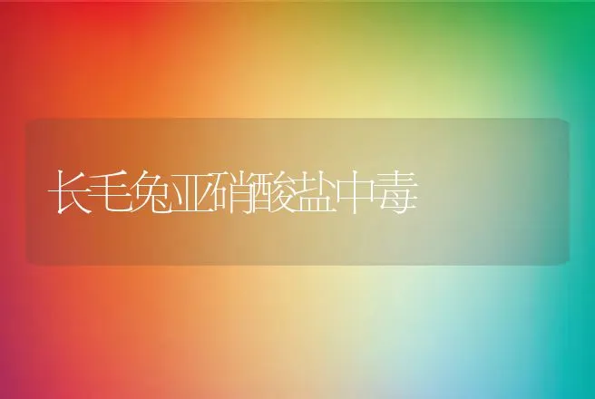 长毛兔亚硝酸盐中毒 | 动物养殖