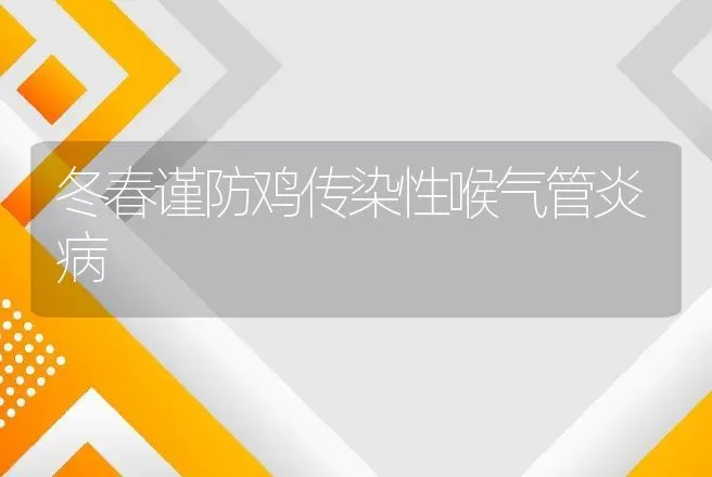 冬春谨防鸡传染性喉气管炎病 | 动物养殖