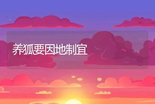 养狐要因地制宜 | 特种养殖