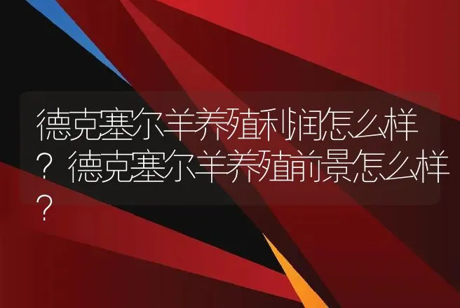 德克塞尔羊养殖利润怎么样？德克塞尔羊养殖前景怎么样？ | 养殖致富