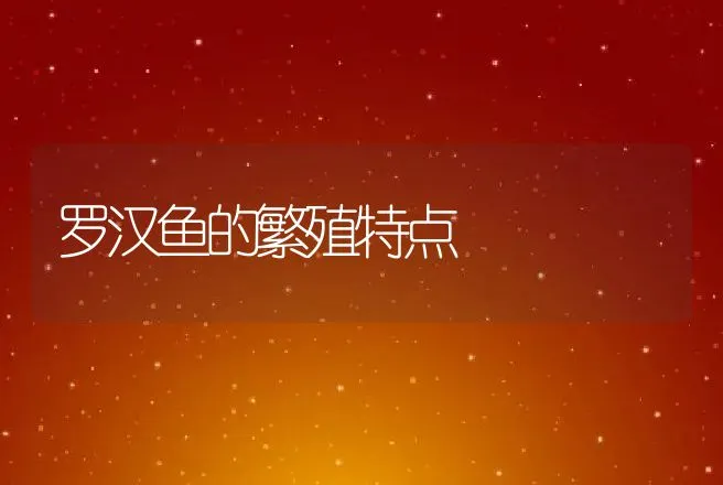 后备种鹅的管理要点（上） | 动物养殖