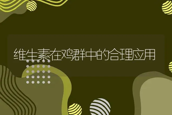 维生素在鸡群中的合理应用 | 动物养殖