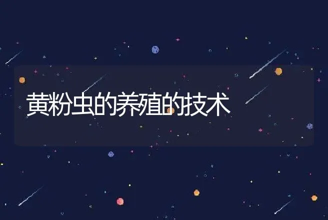 黄粉虫的养殖的技术 | 动物养殖