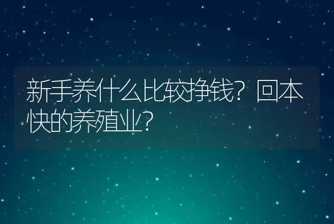 新手养什么比较挣钱？回本快的养殖业？ | 养殖致富