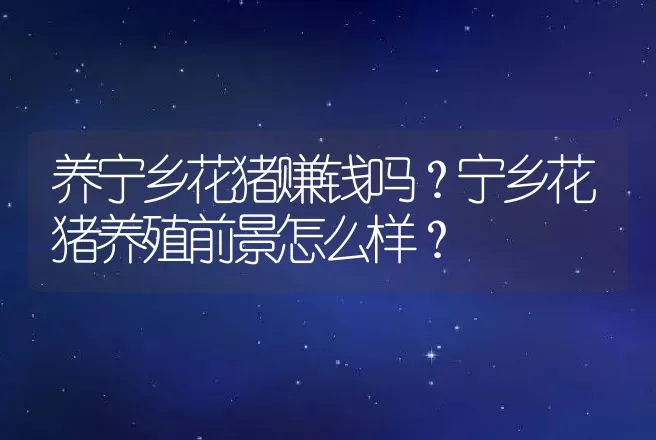 养宁乡花猪赚钱吗？宁乡花猪养殖前景怎么样？ | 养殖致富