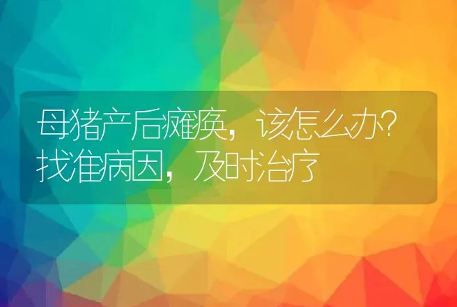 母猪产后瘫痪，该怎么办？找准病因，及时治疗 | 兽医知识大全