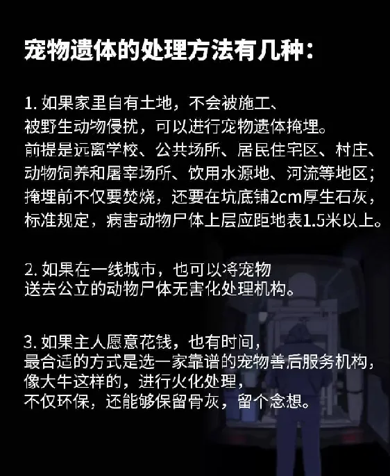 这座城市每天1000只宠物离世，我最多能服务7只 | 宠物行业洞察