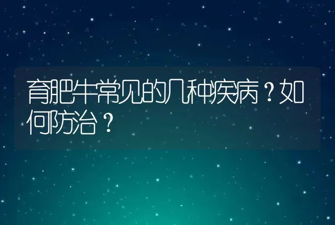 育肥牛常见的几种疾病？如何防治？ | 兽医知识大全