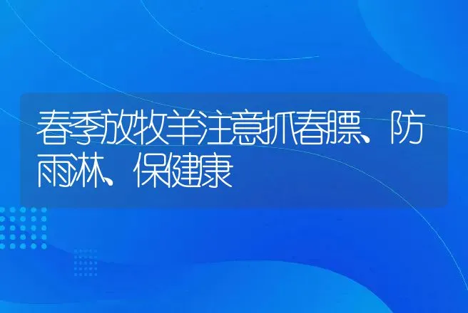 春季放牧羊注意抓春膘、防雨淋、保健康 | 家畜养殖