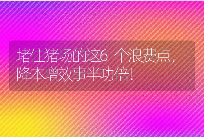 堵住猪场的这6个浪费点，降本增效事半功倍！ | 家畜养殖