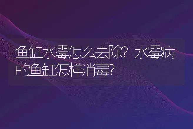 鱼缸水霉怎么去除？水霉病的鱼缸怎样消毒？ | 兽医知识大全