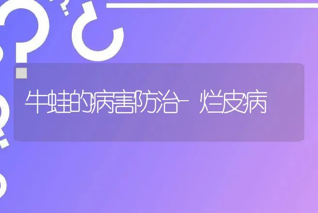 牛蛙的病害防治-烂皮病 | 动物养殖