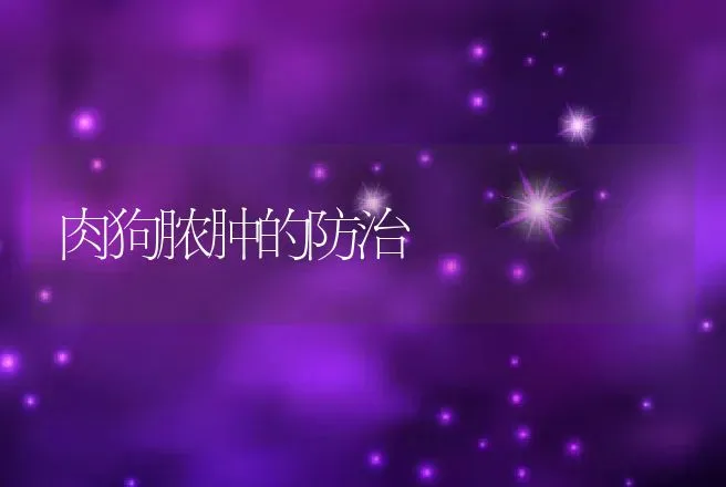 肉狗脓肿的防治 | 动物养殖
