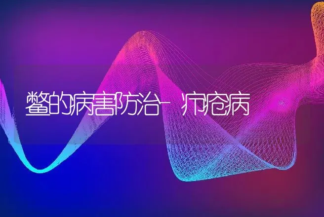 鳖的病害防治-疖疮病 | 动物养殖