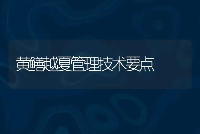 黄鳝越夏管理技术要点 | 动物养殖