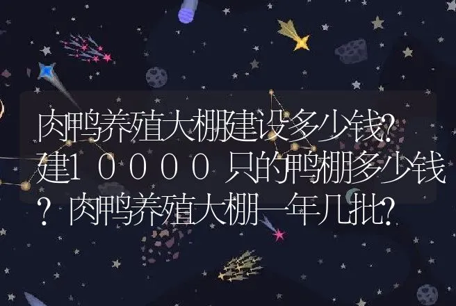 肉鸭养殖大棚建设多少钱？建10000只的鸭棚多少钱？肉鸭养殖大棚一年几批？ | 兽医知识大全